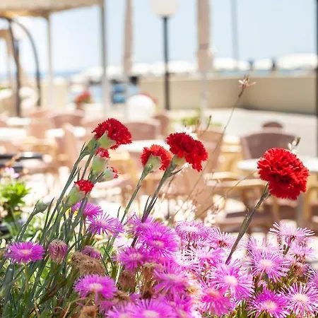 Primavera Sul Mare Hotel Lido Di Savio