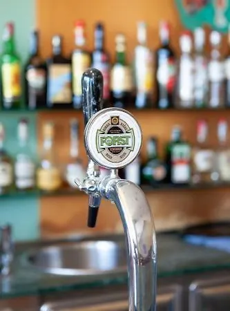 Primavera Sul Mare Hotel