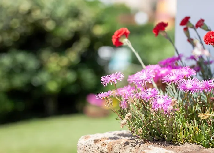 Primavera Sul Mare 丽都迪萨维奥